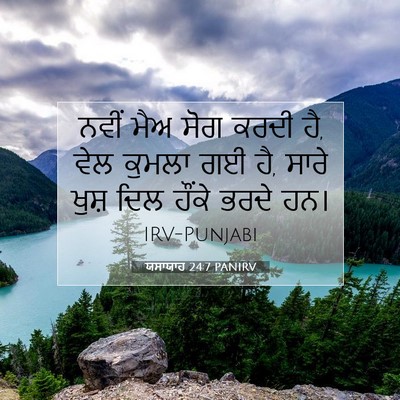 Picture 07 - ਯਸਾਯਾਹ 24:7 PANIRV - ਨਵੀਂ ਮੈਅ ਸੋਗ ਕਰਦੀ - Bible Verse Picture