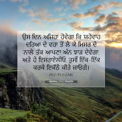 Picture 07 - ਯਸਾਯਾਹ 27:12 PANIRV - ਉਸ ਦਿਨ ਅਜਿਹਾ - Bible Verse Picture