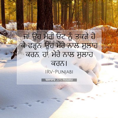 Picture 07 - ਯਸਾਯਾਹ 27:5 PANIRV - ਜਾਂ ਉਹ ਮੇਰੀ ਓਟ ਨੂੰ - Bible Verse Picture