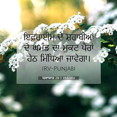 Picture 07 - ਯਸਾਯਾਹ 28:3 PANIRV - ਇਫ਼ਰਾਈਮ ਦੇ - Bible Verse Picture