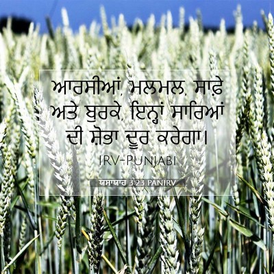 Picture 07 - ਯਸਾਯਾਹ 3:23 PANIRV - ਆਰਸੀਆਂ, ਮਲਮਲ, ਸਾਫ਼ੇ - Bible Verse Picture