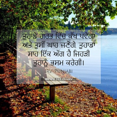 Picture 07 - ਯਸਾਯਾਹ 33:11 PANIRV - ਤੁਹਾਡੇ ਗਰਭ ਵਿੱਚ - Bible Verse Picture
