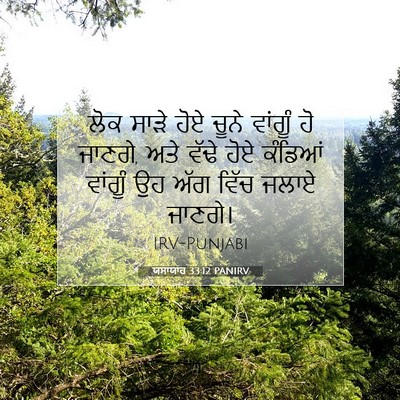 Picture 07 - ਯਸਾਯਾਹ 33:12 PANIRV - ਲੋਕ ਸਾੜੇ ਹੋਏ ਚੂਨੇ - Bible Verse Picture