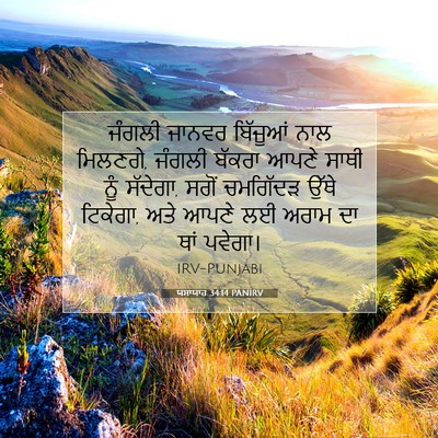 Picture 07 - ਯਸਾਯਾਹ 34:14 PANIRV - ਜੰਗਲੀ ਜਾਨਵਰ - Bible Verse Picture