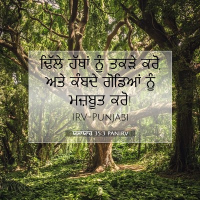 Picture 07 - ਯਸਾਯਾਹ 35:3 PANIRV - ਢਿੱਲੇ ਹੱਥਾਂ ਨੂੰ - Bible Verse Picture