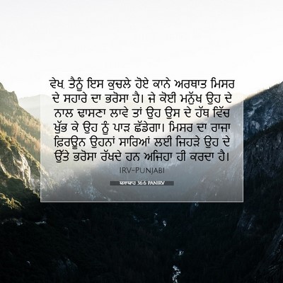 Picture 07 - ਯਸਾਯਾਹ 36:6 PANIRV - ਵੇਖ, ਤੈਨੂੰ ਇਸ ਕੁਚਲੇ - Bible Verse Picture