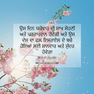Picture 07 - ਯਸਾਯਾਹ 4:2 PANIRV - ਉਸ ਦਿਨ ਯਹੋਵਾਹ ਦੀ - Bible Verse Picture