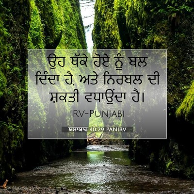Picture 07 - ਯਸਾਯਾਹ 40:29 PANIRV - ਉਹ ਥੱਕੇ ਹੋਏ ਨੂੰ ਬਲ - Bible Verse Picture