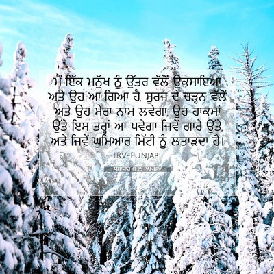 Picture 07 - ਯਸਾਯਾਹ 41:25 PANIRV - ਮੈਂ ਇੱਕ ਮਨੁੱਖ ਨੂੰ - Bible Verse Picture