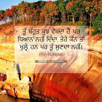 Picture 07 - ਯਸਾਯਾਹ 42:20 PANIRV - ਤੂੰ ਬਹੁਤ ਕੁਝ ਵੇਖਦਾ - Bible Verse Picture