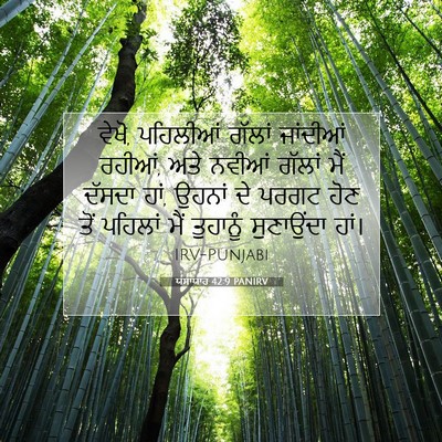 Picture 07 - ਯਸਾਯਾਹ 42:9 PANIRV - ਵੇਖੋ, ਪਹਿਲੀਆਂ - Bible Verse Picture