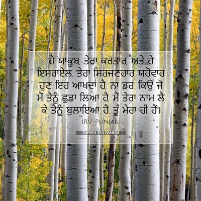 Picture 07 - ਯਸਾਯਾਹ 43:1 PANIRV - ਹੇ ਯਾਕੂਬ, ਤੇਰਾ - Bible Verse Picture
