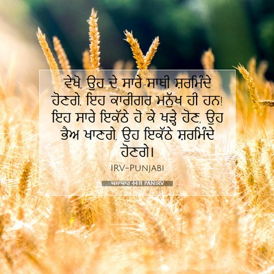 Picture 07 - ਯਸਾਯਾਹ 44:11 PANIRV - ਵੇਖੋ, ਉਹ ਦੇ ਸਾਰੇ - Bible Verse Picture