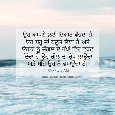 Picture 07 - ਯਸਾਯਾਹ 44:14 PANIRV - ਉਹ ਆਪਣੇ ਲਈ ਦਿਆਰ - Bible Verse Picture