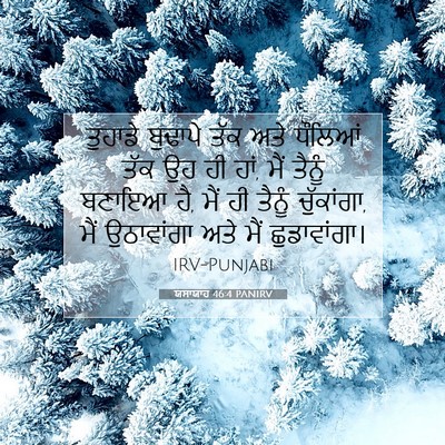 Picture 07 - ਯਸਾਯਾਹ 46:4 PANIRV - ਤੁਹਾਡੇ ਬੁਢਾਪੇ ਤੱਕ - Bible Verse Picture