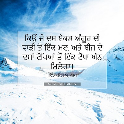 Picture 07 - ਯਸਾਯਾਹ 5:10 PANIRV - ਕਿਉਂ ਜੋ ਦਸ ਏਕੜ - Bible Verse Picture