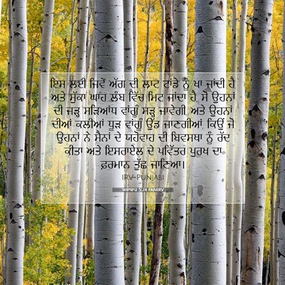 Picture 07 - ਯਸਾਯਾਹ 5:24 PANIRV - ਇਸ ਲਈ ਜਿਵੇਂ ਅੱਗ ਦੀ - Bible Verse Picture
