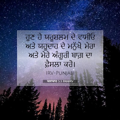 Picture 07 - ਯਸਾਯਾਹ 5:3 PANIRV - ਹੁਣ ਹੇ ਯਰੂਸ਼ਲਮ ਦੇ - Bible Verse Picture