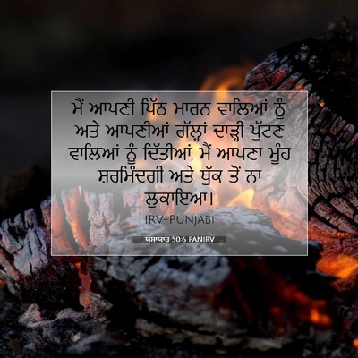 Picture 07 - ਯਸਾਯਾਹ 50:6 PANIRV - ਮੈਂ ਆਪਣੀ ਪਿੱਠ ਮਾਰਨ - Bible Verse Picture
