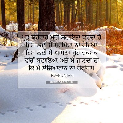 Picture 07 - ਯਸਾਯਾਹ 50:7 PANIRV - ਪ੍ਰਭੂ ਯਹੋਵਾਹ ਮੇਰੀ - Bible Verse Picture