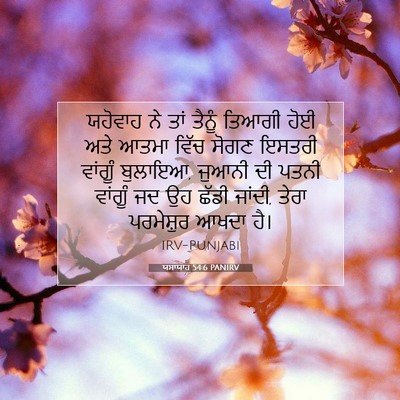 Picture 07 - ਯਸਾਯਾਹ 54:6 PANIRV - ਯਹੋਵਾਹ ਨੇ ਤਾਂ - Bible Verse Picture