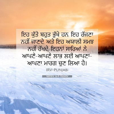 Picture 07 - ਯਸਾਯਾਹ 56:11 PANIRV - ਇਹ ਕੁੱਤੇ ਬਹੁਤ - Bible Verse Picture