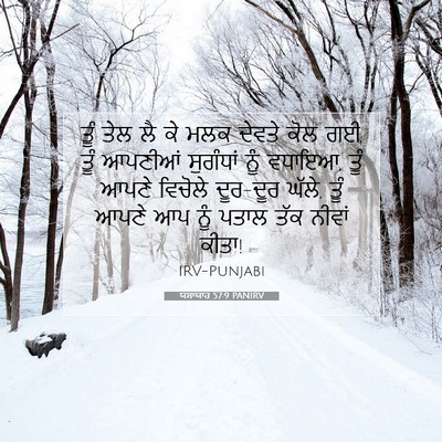 Picture 07 - ਯਸਾਯਾਹ 57:9 PANIRV - ਤੂੰ ਤੇਲ ਲੈ ਕੇ ਮਲਕ - Bible Verse Picture