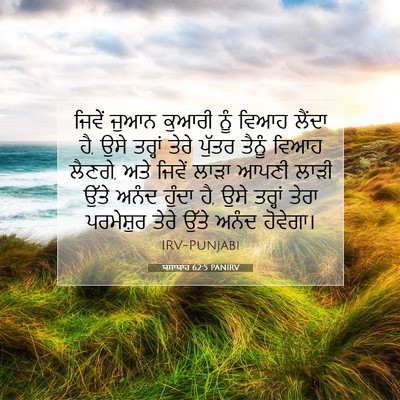Picture 07 - ਯਸਾਯਾਹ 62:5 PANIRV - ਜਿਵੇਂ ਜੁਆਨ ਕੁਆਰੀ - Bible Verse Picture
