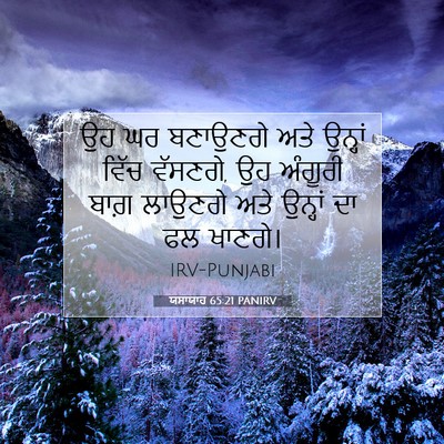 Picture 07 - ਯਸਾਯਾਹ 65:21 PANIRV - ਉਹ ਘਰ ਬਣਾਉਣਗੇ ਅਤੇ - Bible Verse Picture