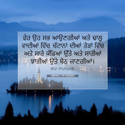 Picture 07 - ਯਸਾਯਾਹ 7:19 PANIRV - ਫੇਰ ਉਹ ਸਭ ਆਉਣਗੀਆਂ - Bible Verse Picture