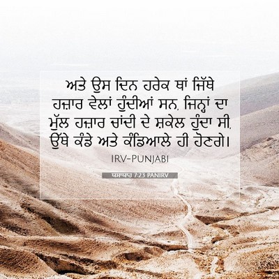 Picture 07 - ਯਸਾਯਾਹ 7:23 PANIRV - ਅਤੇ ਉਸ ਦਿਨ ਹਰੇਕ ਥਾਂ - Bible Verse Picture