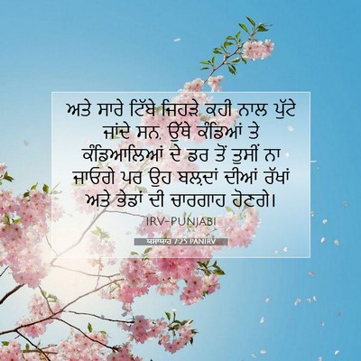 Picture 07 - ਯਸਾਯਾਹ 7:25 PANIRV - ਅਤੇ ਸਾਰੇ ਟਿੱਬੇ - Bible Verse Picture