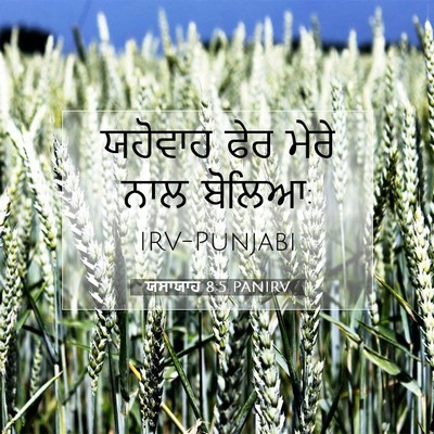 Picture 07 - ਯਸਾਯਾਹ 8:5 PANIRV - ਯਹੋਵਾਹ ਫੇਰ ਮੇਰੇ - Bible Verse Picture