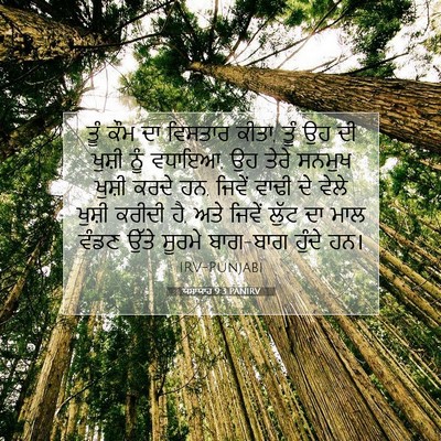 Picture 07 - ਯਸਾਯਾਹ 9:3 PANIRV - ਤੂੰ ਕੌਮ ਦਾ ਵਿਸਤਾਰ - Bible Verse Picture