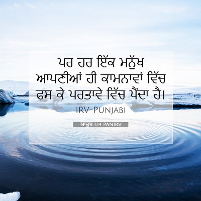 Picture 07 - ਯਾਕੂਬ 1:14 PANIRV - ਪਰ ਹਰ ਇੱਕ ਮਨੁੱਖ - Bible Verse Picture