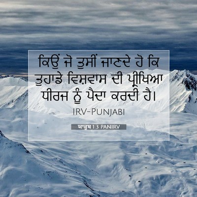 Picture 07 - ਯਾਕੂਬ 1:3 PANIRV - ਕਿਉਂ ਜੋ ਤੁਸੀਂ - Bible Verse Picture