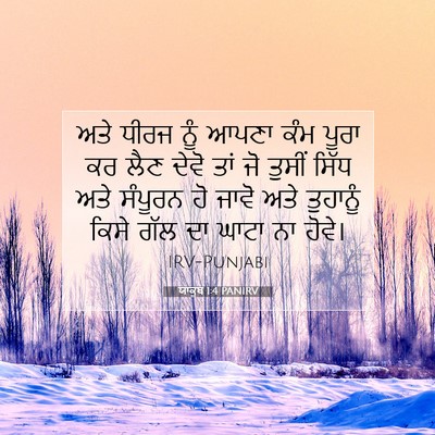 Picture 07 - ਯਾਕੂਬ 1:4 PANIRV - ਅਤੇ ਧੀਰਜ ਨੂੰ ਆਪਣਾ - Bible Verse Picture