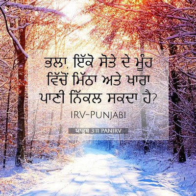 Picture 07 - ਯਾਕੂਬ 3:11 PANIRV - ਭਲਾ, ਇੱਕੋ ਸੋਤੇ ਦੇ - Bible Verse Picture