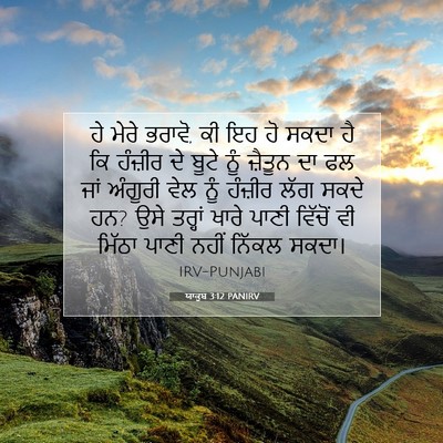 Picture 07 - ਯਾਕੂਬ 3:12 PANIRV - ਹੇ ਮੇਰੇ ਭਰਾਵੋ, ਕੀ - Bible Verse Picture