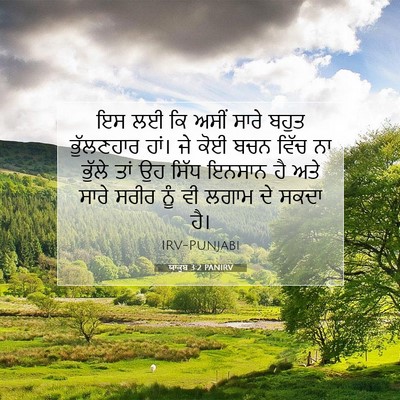 Picture 07 - ਯਾਕੂਬ 3:2 PANIRV - ਇਸ ਲਈ ਕਿ ਅਸੀਂ ਸਾਰੇ - Bible Verse Picture
