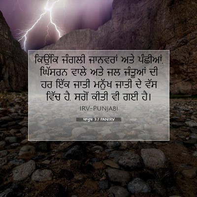 Picture 07 - ਯਾਕੂਬ 3:7 PANIRV - ਕਿਉਂਕਿ ਜੰਗਲੀ - Bible Verse Picture