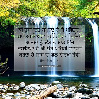 Picture 07 - ਯਾਕੂਬ 4:5 PANIRV - ਕੀ ਤੁਸੀਂ ਇਹ ਸਮਝਦੇ - Bible Verse Picture