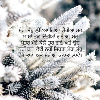 Picture 07 - ਯਿਰਮਿਯਾਹ 10:20 PANIRV - ਮੇਰਾ ਤੰਬੂ ਲੁੱਟਿਆ - Bible Verse Picture