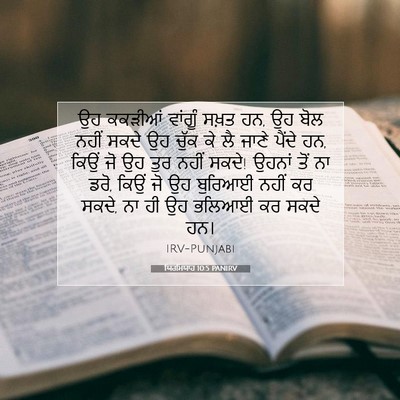 Picture 07 - ਯਿਰਮਿਯਾਹ 10:5 PANIRV - ਉਹ ਕਕੜੀਆਂ ਵਾਂਗੂੰ - Bible Verse Picture