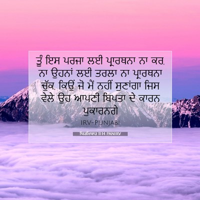 Picture 07 - ਯਿਰਮਿਯਾਹ 11:14 PANIRV - ਤੂੰ ਇਸ ਪਰਜਾ ਲਈ - Bible Verse Picture