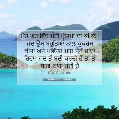 Picture 07 - ਯਿਰਮਿਯਾਹ 11:15 PANIRV - ਮੇਰੇ ਘਰ ਵਿੱਚ ਮੇਰੀ - Bible Verse Picture