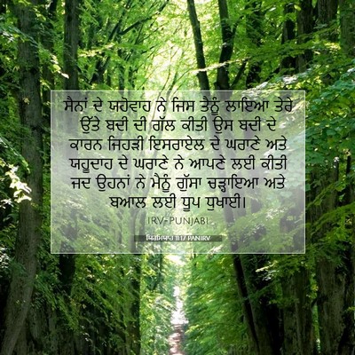 Picture 07 - ਯਿਰਮਿਯਾਹ 11:17 PANIRV - ਸੈਨਾਂ ਦੇ ਯਹੋਵਾਹ ਨੇ - Bible Verse Picture
