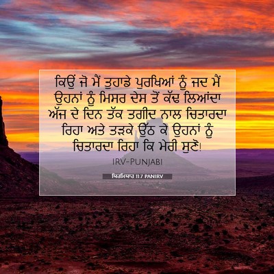Picture 07 - ਯਿਰਮਿਯਾਹ 11:7 PANIRV - ਕਿਉਂ ਜੋ ਮੈਂ ਤੁਹਾਡੇ - Bible Verse Picture