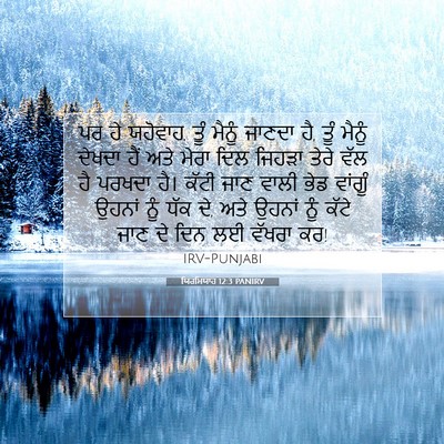 Picture 07 - ਯਿਰਮਿਯਾਹ 12:3 PANIRV - ਪਰ ਹੇ ਯਹੋਵਾਹ, ਤੂੰ - Bible Verse Picture