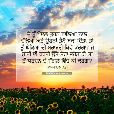 Picture 07 - ਯਿਰਮਿਯਾਹ 12:5 PANIRV - ਜੇ ਤੂੰ ਪੈਦਲ ਤੁਰਨ - Bible Verse Picture
